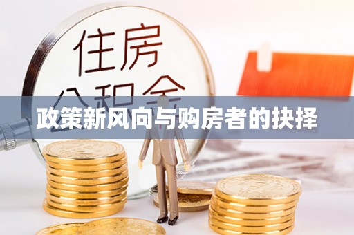 会理政策新风向与购房者的抉择