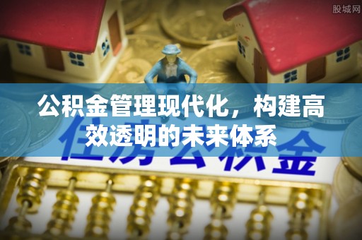 会理公积金管理现代化，构建高效透明的未来体系