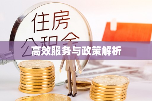 会理高效服务与政策解析