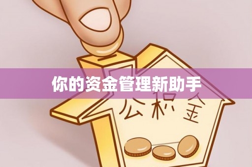 会理你的资金管理新助手
