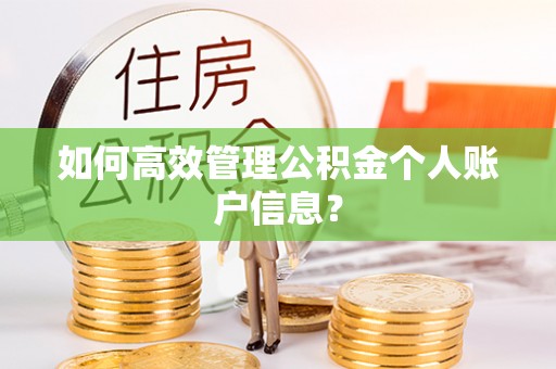 会理如何高效管理公积金个人账户信息？