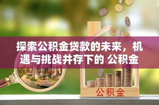 会理探索公积金贷款的未来，机遇与挑战并存下的 公积金贷款风险防控