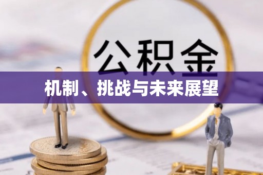 会理机制、挑战与未来展望